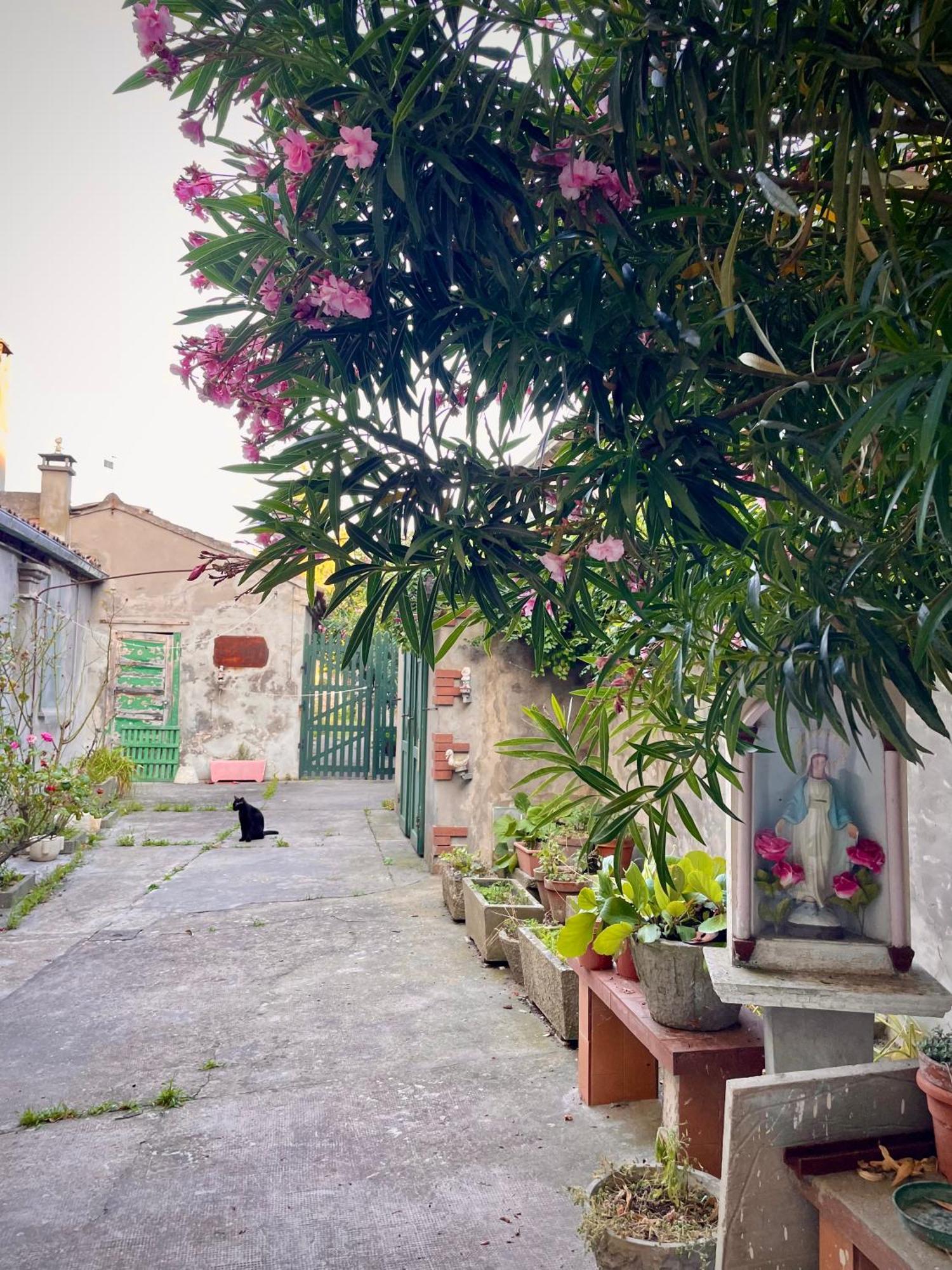 L'Encanto De Luna -Una Casa Autentica Comacchiese Comacchio Exterior photo